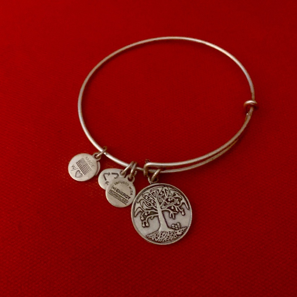 Alex and Ani Bracelet